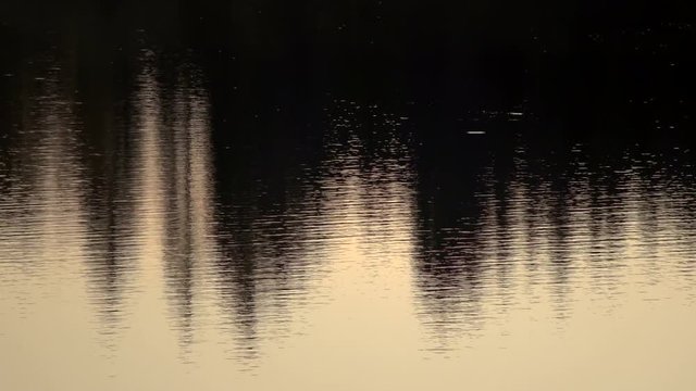 Berge und B&auml;ume spiegeln sich im Alpsee, Abendstimmung am See, Attlesee, Nesselwang, Allg&auml;u, 4K