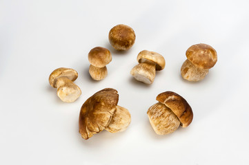 Group of Boletus Edulis mushroom isolated on white background