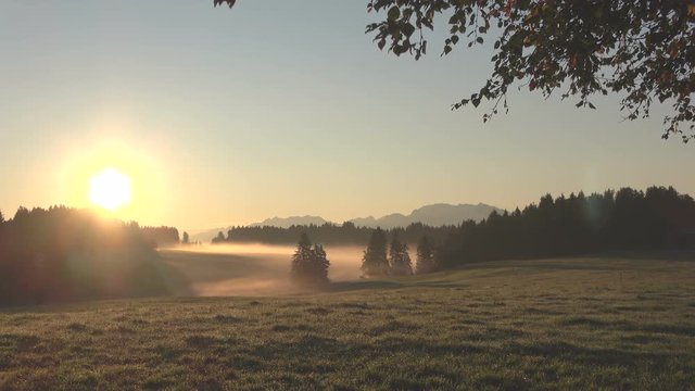 Nebelstimmung bei Sonnenaufgang im Alpenvorland, Allg&auml;u, Nebel, Herbststimmung, Almwiesen mit Wald, 4K