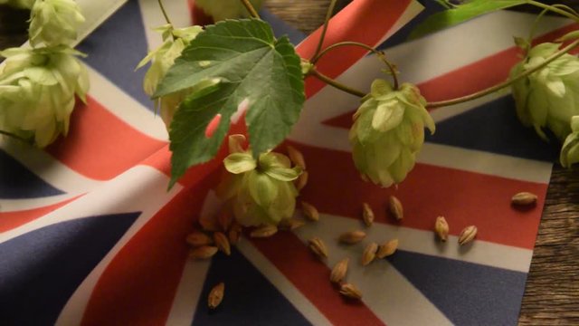 Humulus lupulus Common hop Malt