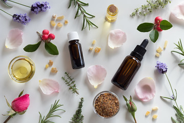 Selection of essential oils and herbs on a white background
