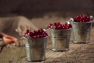 Cranberry in a bucket