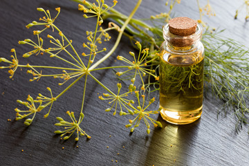 Dill seed oil in a transparent bottle on a dark background