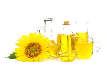 Composition with cooking oil and sunflower on white background