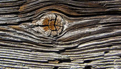 Wood texture