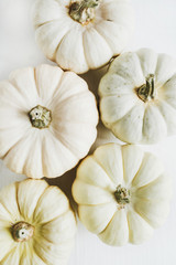 White pumpkins. Fall autumn minimal concept. Flat lay, top view. Christmas background.