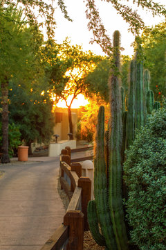 Arizona resort walkway