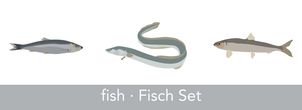 fish set