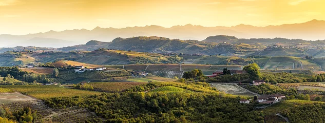 Poster wide panorama of Langhe region in northern italy, on autumn,unes © stefanocar_75