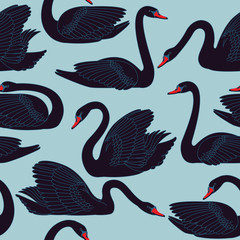Seamless hand painted black swans pattern. Fauna background with birds used for wallpaper, pattern fills, web page, fabric print, postcards. - obrazy, fototapety, plakaty