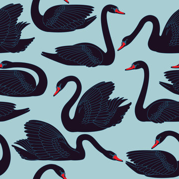 Seamless hand painted black swans pattern. Fauna background with birds used for wallpaper, pattern fills, web page, fabric print, postcards.
