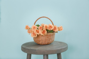 Apricot roses in wicker basket on table against trendy color background