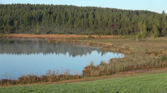 Nebelstimmung am Alpsee, Attlesee, Allg&auml;u, Nesselwang, Herbststimmung in den Alpen, 4K
