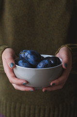 Female hands holding a bowl of plums