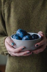 Female hands holding a bowl of plums