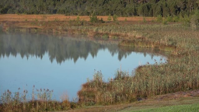 Nebelstimmung am Alpsee, Attlesee, Allg&auml;u, Nesselwang, Herbststimmung in den Alpen, 4K