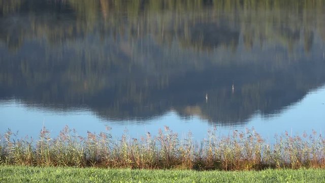 Nebelstimmung am Alpsee, Attlesee, Allg&auml;u, Nesselwang, Herbststimmung in den Alpen, 4K