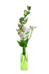 Vase with beautiful flowers on white background