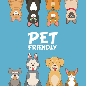 Pet friendly cartoon icon vector illustration graphic design