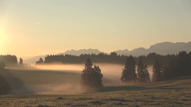 Nebelstimmung bei Sonnenaufgang im Alpenvorland, Allg&auml;u, Nebel, Herbststimmung, Almwiesen mit Wald, 4K
