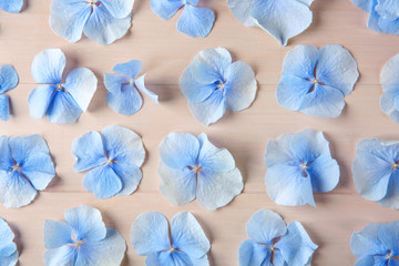 Beautiful blue flowers on light background