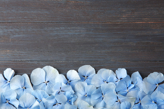 Fototapeta Beautiful blue flowers on wooden background