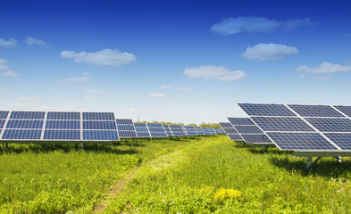 solar plant