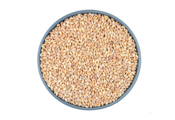 Barley grits in bowl