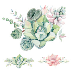 Watercolor vintage succulents bouquet