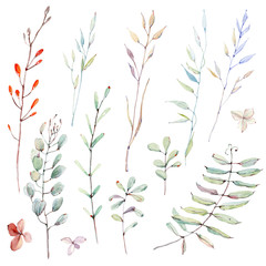 watercolor leaves collection.