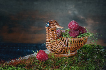 Tasty ripe raspberries in the wicker basket in the shape of a duck in beautiful green moss. Copy the place.