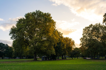 Sunset Sun Flare Autumn Fall Green Yellow Fiery Sky Park Forest Landscape Season