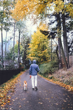 Man walk with dog on autumn street
