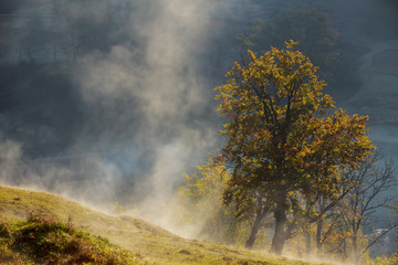 Fototapeta na wymiar mountain rural area in autumn season. agricultural field in fog