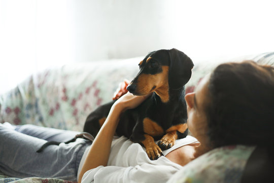 Small black dachshund lying on the couch with a young woman