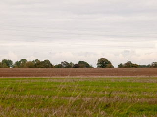 farming industry field brown white sky green field in front