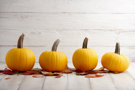 Yellow pumpkins in a row on white wooden background, Thanksgiving and Halloween holiday decoration