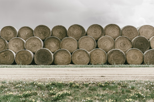 Hay Bales in Rural South Dakota