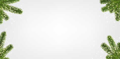 Christmas background with spruce branches.