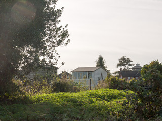 Fototapeta na wymiar white shed over hedge summer bright overcast day