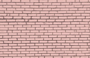 Pink brick wall as background.