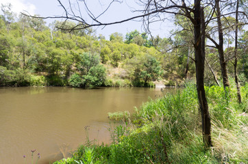 Yarra high water