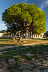 Hera's Temple, paestum, Salerno, Italy