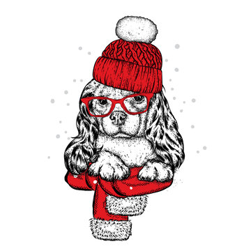 Cute dog in a hat, scarf and glasses. Purebred puppy. Spaniel in winter clothes. Vector illustration for a postcard or a poster, print for clothes.