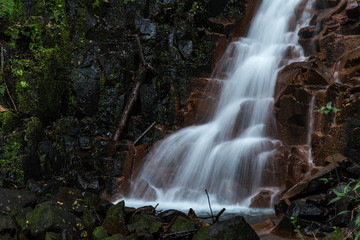 pequena queda dagua na floresta