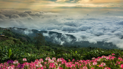 Morning Mist with Mountain ,sea of mis © meen_na