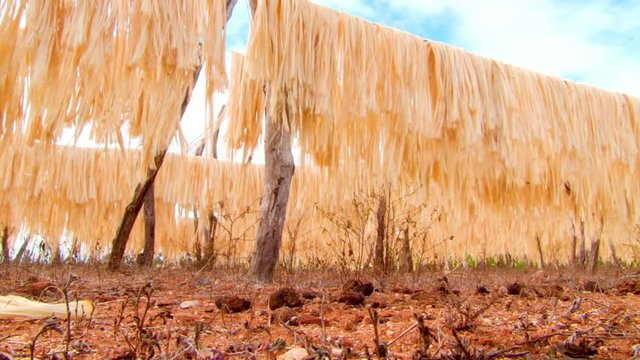 Low angle shot of sisal fibre hanging on lines 
