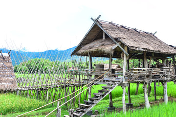 Fototapeta na wymiar Wooden cottate Pua District, Nan Province, Thailand.