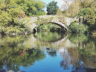 Fototapeta na wymiar Bridge over pond with summer day reflections