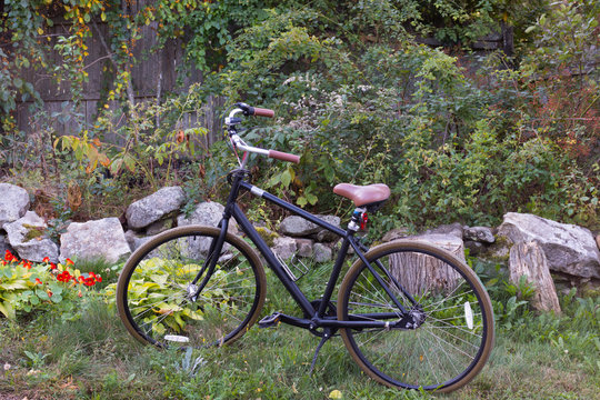 A bicycle with upright handlebars and a leather seat parked in a garden with nasturtiums, hostas and raspberry bushes. 